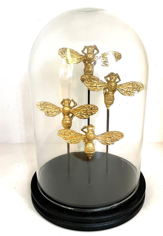 Glass Honeybee