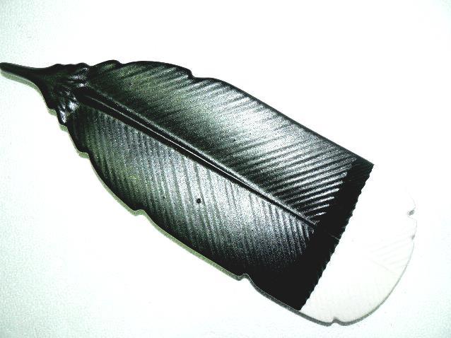 Huia feather