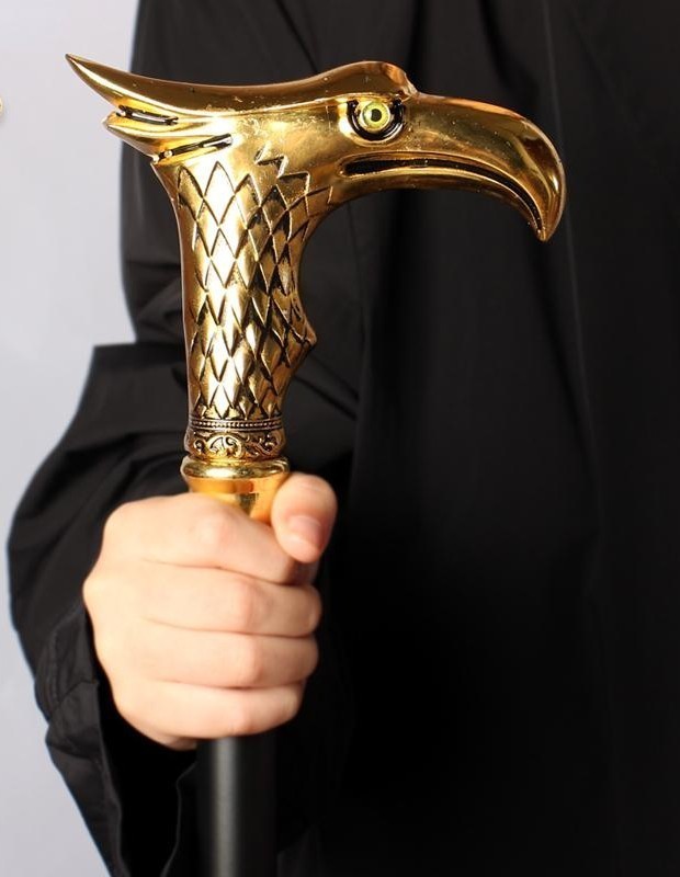 Eagle cane